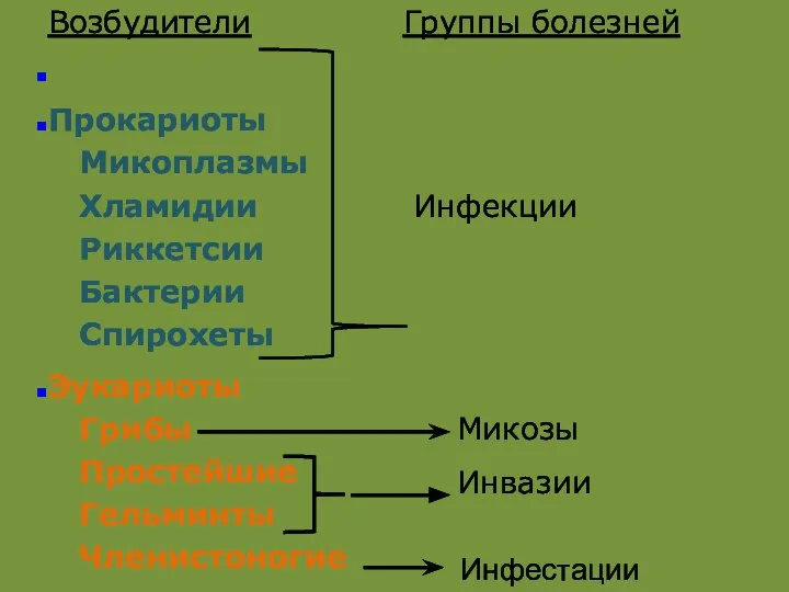 Инфестации