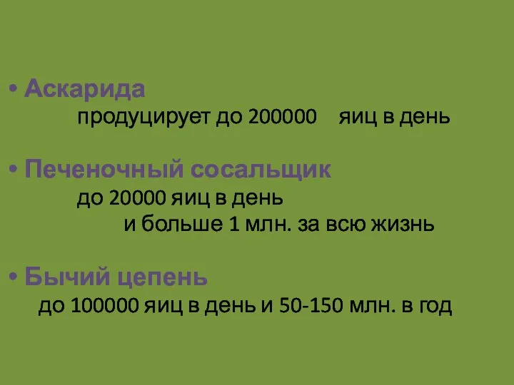 Плодовитость паразитов: Аскарида продуцирует до 200000 яиц в день Печеночный сосальщик