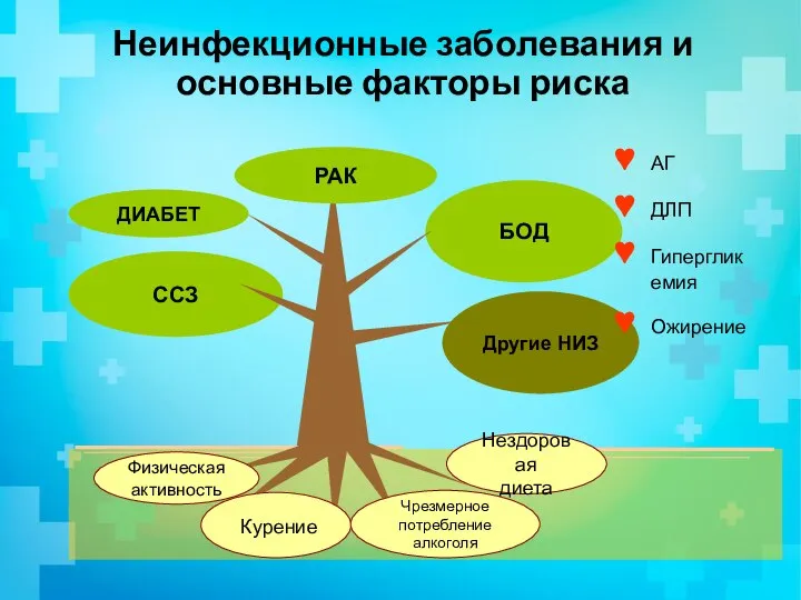 Неинфекционные заболевания и основные факторы риска АГ ДЛП Гипергликемия Ожирение