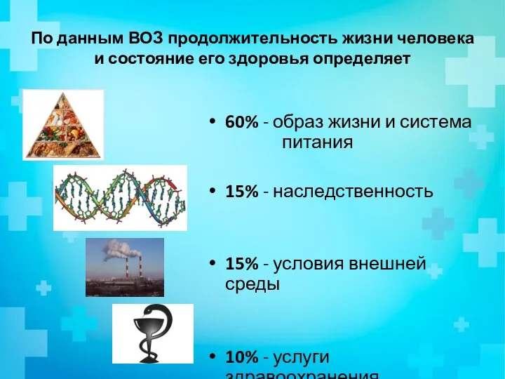 60% - образ жизни и система питания 15% - наследственность 15%