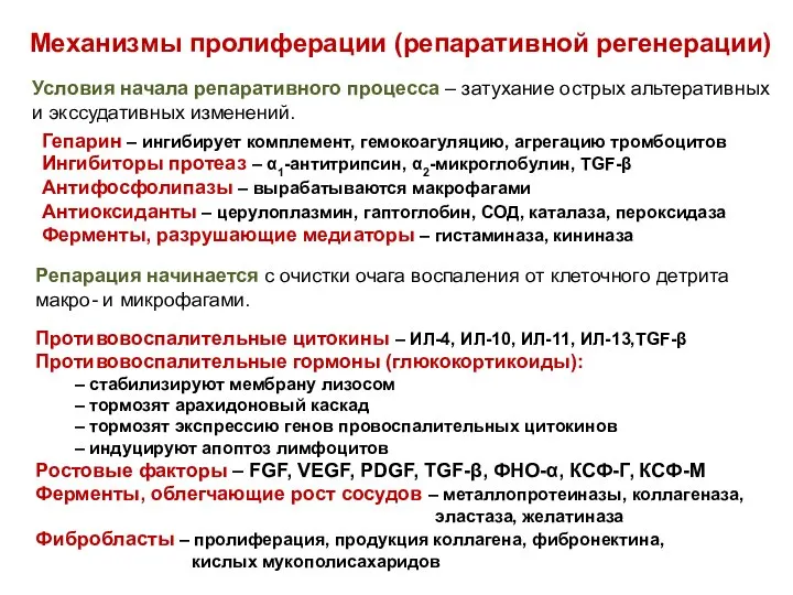 Механизмы пролиферации (репаративной регенерации) Условия начала репаративного процесса – затухание острых