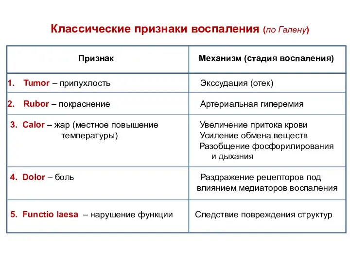 Классические признаки воспаления (по Галену) Tumor – припухлость Экссудация (отек) Rubor