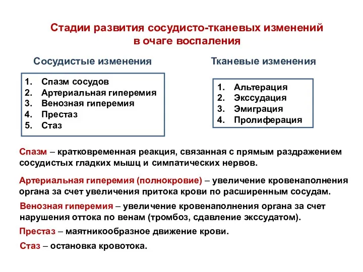 Стадии развития сосудисто-тканевых изменений в очаге воспаления Сосудистые изменения Тканевые изменения