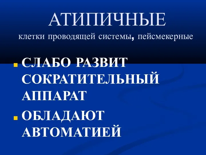 АТИПИЧНЫЕ клетки проводящей системы, пейсмекерные‏ СЛАБО РАЗВИТ СОКРАТИТЕЛЬНЫЙ АППАРАТ ОБЛАДАЮТ АВТОМАТИЕЙ