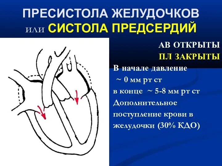 ‏ ПРЕСИСТОЛА ЖЕЛУДОЧКОВ или СИСТОЛА ПРЕДСЕРДИЙ АВ ОТКРЫТЫ ПЛ ЗАКРЫТЫ В