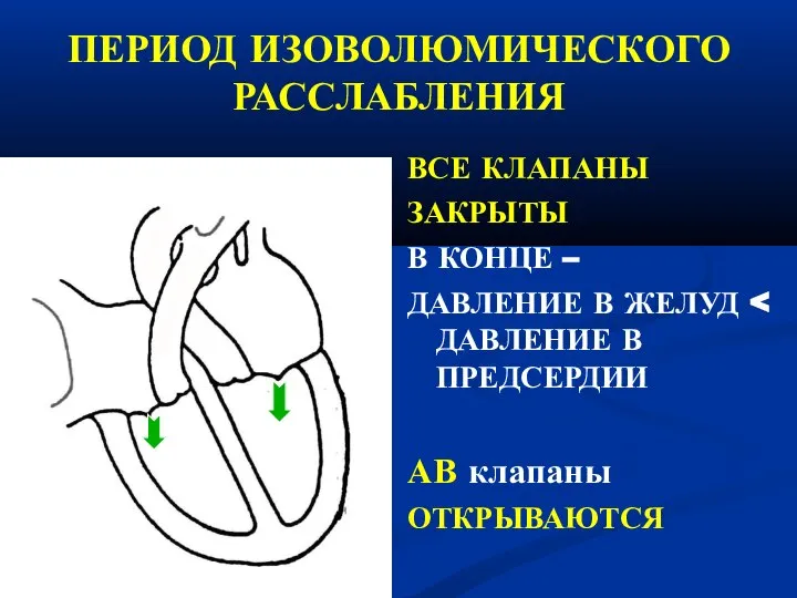 ПЕРИОД ИЗОВОЛЮМИЧЕСКОГО РАССЛАБЛЕНИЯ ВСЕ КЛАПАНЫ ЗАКРЫТЫ В КОНЦЕ – ДАВЛЕНИЕ В ЖЕЛУД АВ клапаны ОТКРЫВАЮТСЯ