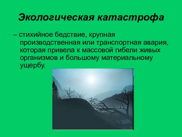 Экологическая катастрофа – стихийное бедствие, крупная производственная или транспортная авария, которая