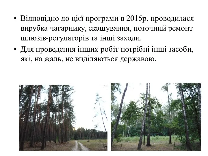 Відповідно до цієї програми в 2015р. проводилася вирубка чагарнику, скошування, поточний