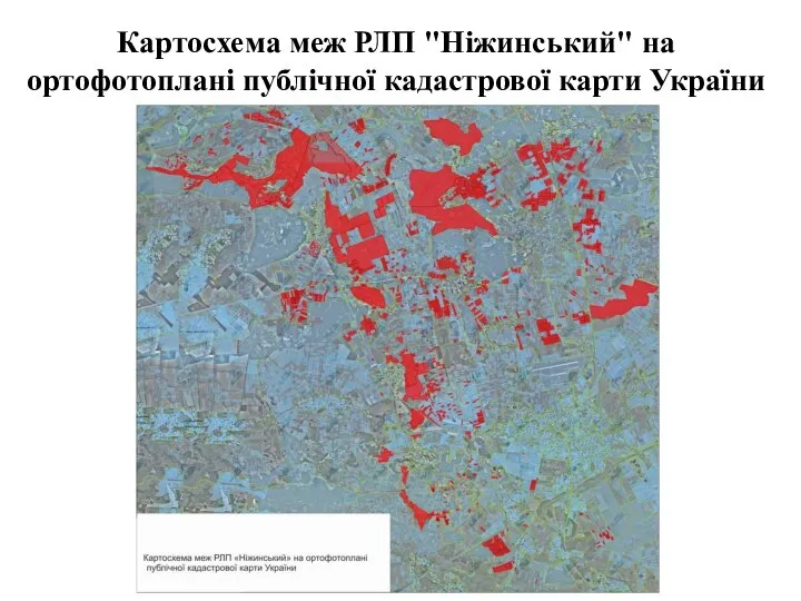 Картосхема меж РЛП "Ніжинський" на ортофотоплані публічної кадастрової карти України