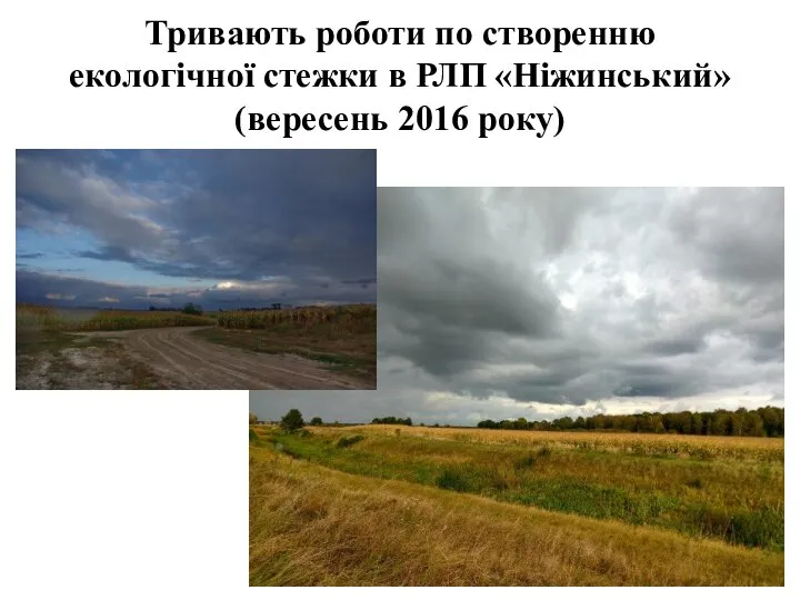 Тривають роботи по створенню екологічної стежки в РЛП «Ніжинський» (вересень 2016 року)