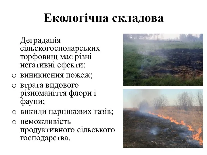 Екологічна складова Деградація сільскогосподарських торфовищ має різні негативні ефекти: виникнення пожеж;