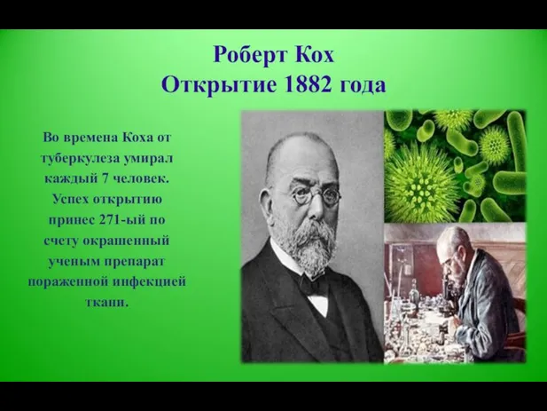 Роберт Кох Открытие 1882 года Во времена Коха от туберкулеза умирал