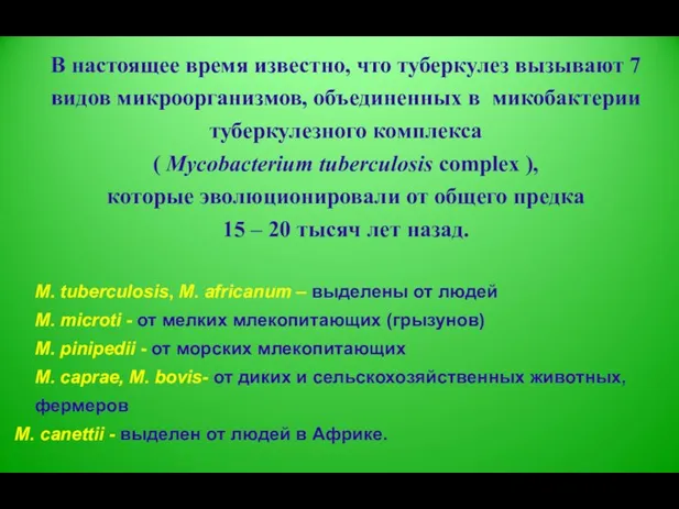 В настоящее время известно, что туберкулез вызывают 7 видов микроорганизмов, объединенных