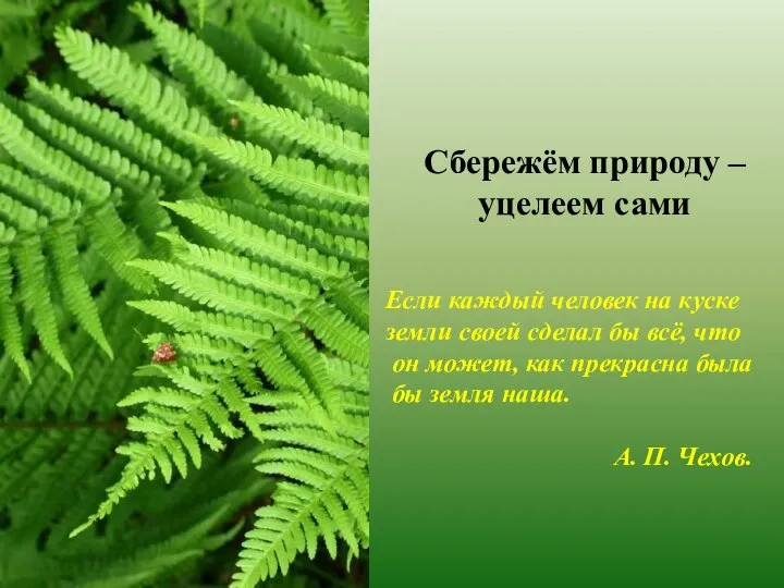 Сбережём природу – уцелеем сами Если каждый человек на куске земли