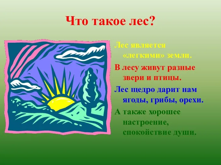 Что такое лес? Лес является «легкими» земли. В лесу живут разные