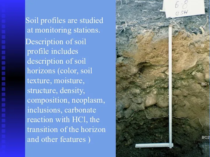 Soil profiles are studied at monitoring stations. Description of soil profile