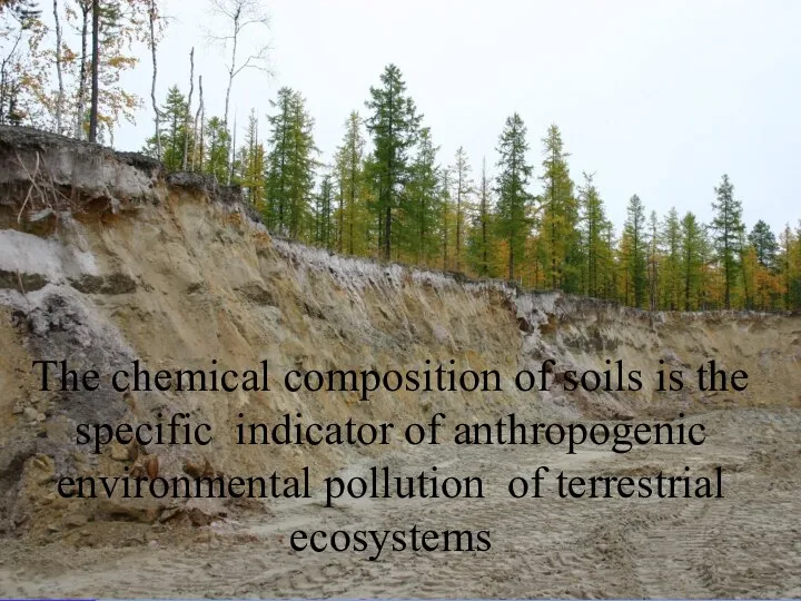 The chemical composition of soils is the specific indicator of anthropogenic environmental pollution of terrestrial ecosystems