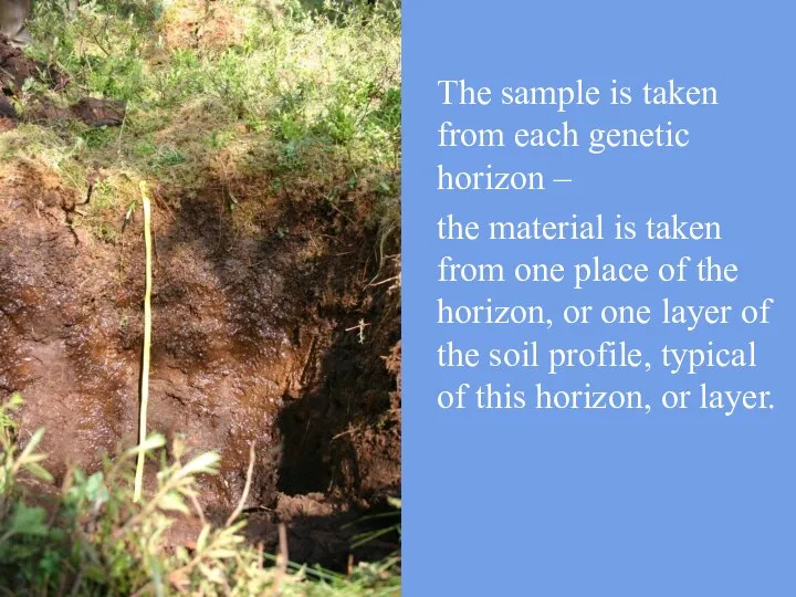 The sample is taken from each genetic horizon – the material