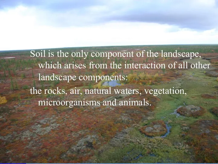 Soil is the only component of the landscape, which arises from