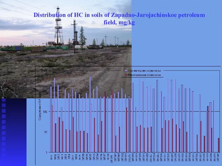 Distribution of HC in soils of Zapadno-Jarojachinskoe petroleum field, mg/kg