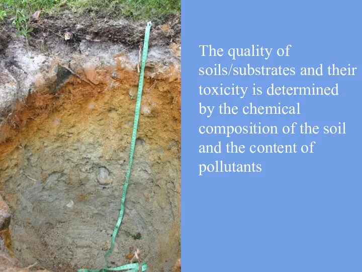 The quality of soils/substrates and their toxicity is determined by the