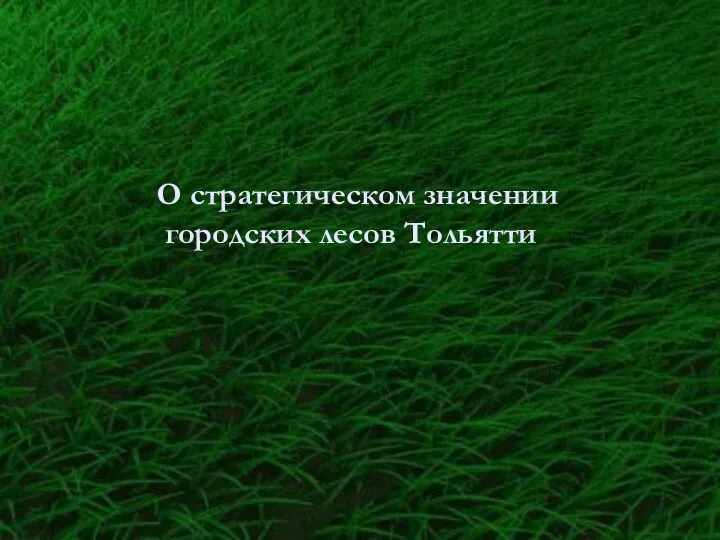 О стратегическом значении городских лесов Тольятти