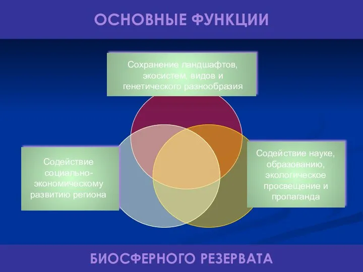 ОСНОВНЫЕ ФУНКЦИИ БИОСФЕРНОГО РЕЗЕРВАТА Сохранение ландшафтов, экосистем, видов и генетического разнообразия