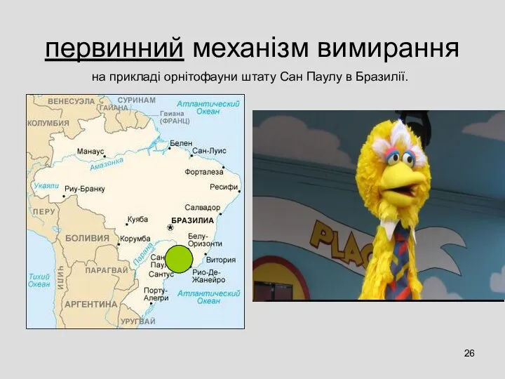 первинний механізм вимирання на прикладі орнітофауни штату Сан Паулу в Бразилії.