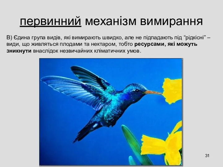 первинний механізм вимирання В) Єдина група видів, які вимирають швидко, але