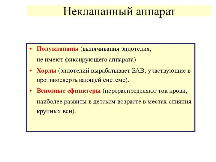 Неклапанный аппарат Полуклапаны (выпячивания эндотелия, не имеют фиксирующего аппарата) Хорды (эндотелий