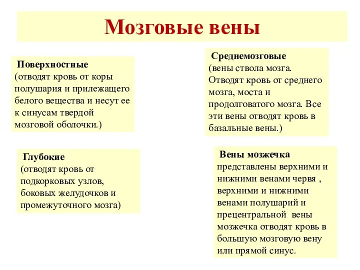 Мозговые вены Поверхностные (отводят кровь от коры полушария и прилежащего белого