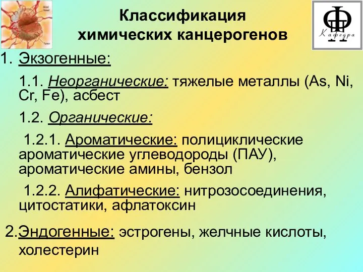 Классификация химических канцерогенов Экзогенные: 1.1. Неорганические: тяжелые металлы (As, Ni, Cr,