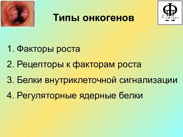 Типы онкогенов 1. Факторы роста 2. Рецепторы к факторам роста 3.