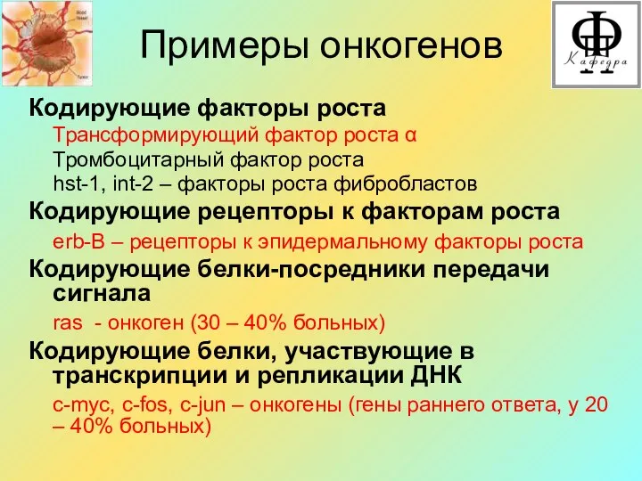 Примеры онкогенов Кодирующие факторы роста Трансформирующий фактор роста α Тромбоцитарный фактор