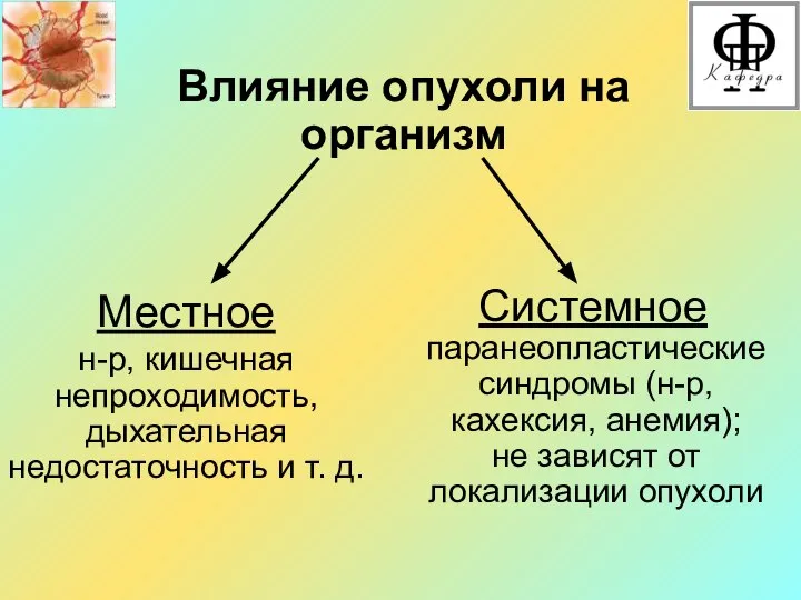 н-р, кишечная непроходимость, дыхательная недостаточность и т. д. Влияние опухоли на