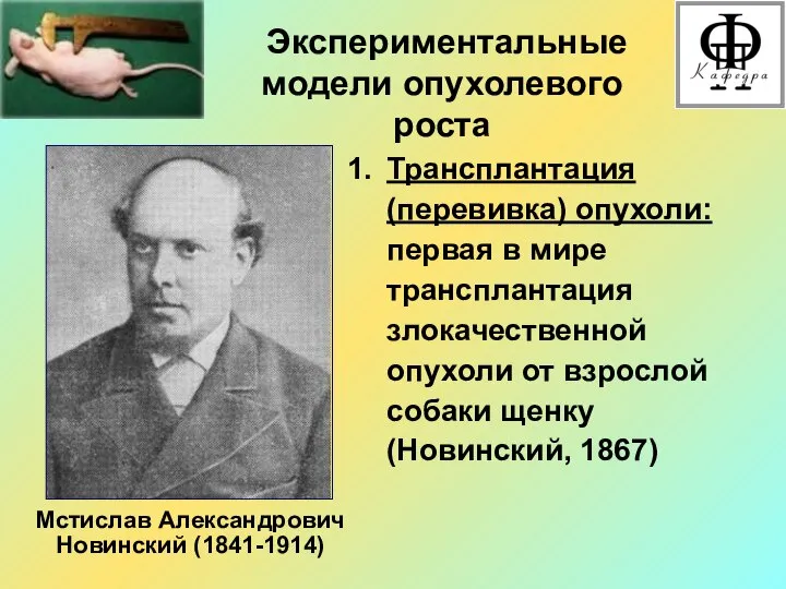 Экспериментальные модели опухолевого роста Трансплантация (перевивка) опухоли: первая в мире трансплантация