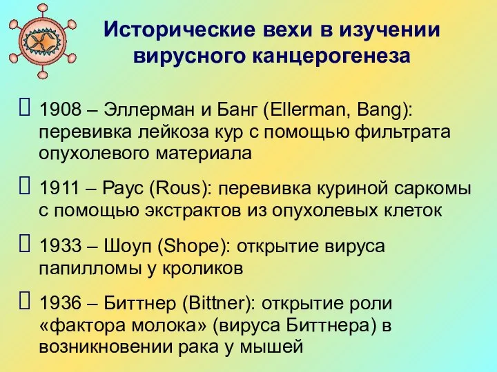 Исторические вехи в изучении вирусного канцерогенеза 1908 – Эллерман и Банг