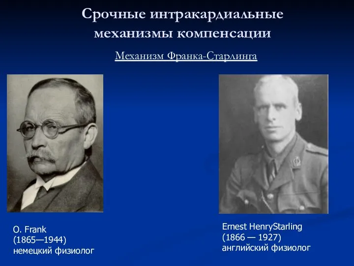 Срочные интракардиальные механизмы компенсации Механизм Франка-Старлинга Ernest HenryStarling (1866 — 1927)
