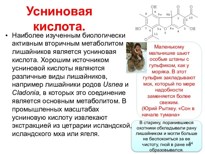 Усниновая кислота. Наиболее изученным биологически активным вторичным метаболитом лишайников является усниновая