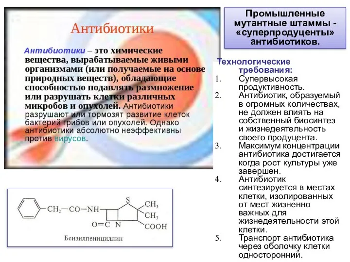 Промышленные мутантные штаммы -«суперпродуценты» антибиотиков. Технологические требования: Супервысокая продуктивность. Антибиотик, образуемый