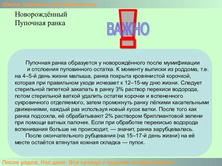 Школа здоровья для беременных После родов. Нас двое. Вся правда о грудном вскармливании Новорождённый Пупочная ранка