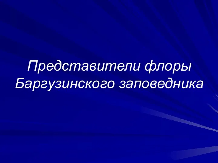 Представители флоры Баргузинского заповедника