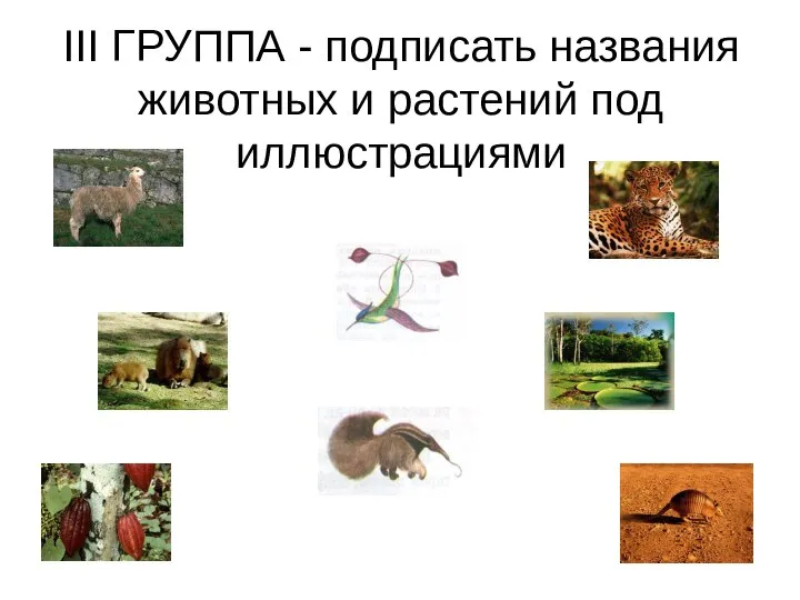 III ГРУППА - подписать названия животных и растений под иллюстрациями