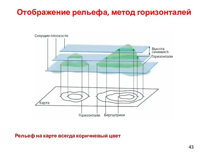 Отображение рельефа, метод горизонталей Рельеф на карте всегда коричневый цвет