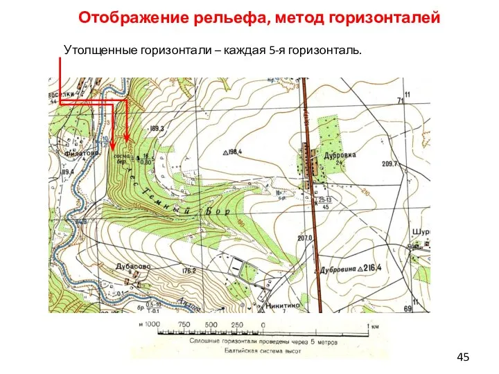 Отображение рельефа, метод горизонталей Утолщенные горизонтали – каждая 5-я горизонталь.