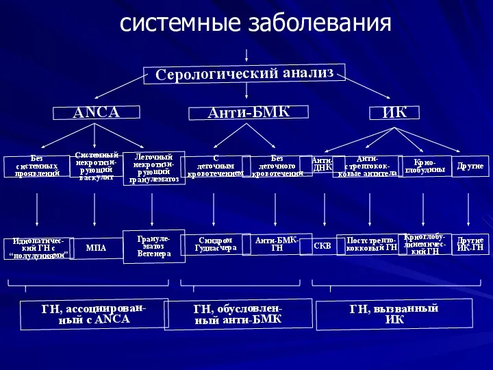 Серологический анализ ANCA Анти-БМК ИК Без системных проявлений Системный некротизи-рующий васкулит