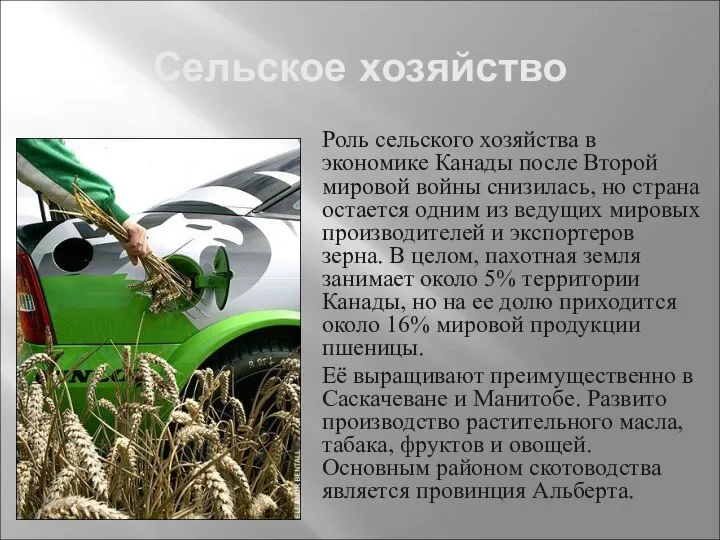 Сельское хозяйство Роль сельского хозяйства в экономике Канады после Второй мировой