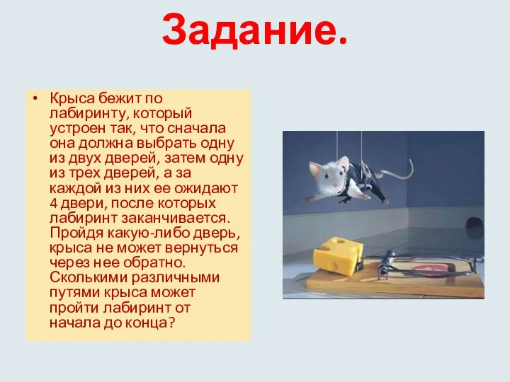 Задание. Крыса бежит по лабиринту, который устроен так, что сначала она