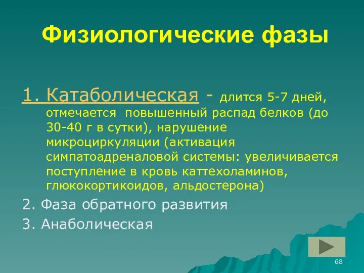 Физиологические фазы 1. Катаболическая - длится 5-7 дней, отмечается повышенный распад