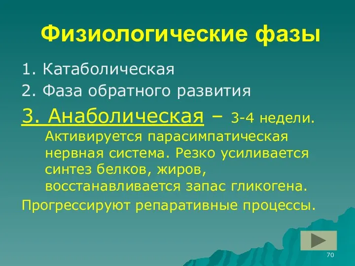 Физиологические фазы 1. Катаболическая 2. Фаза обратного развития 3. Анаболическая –